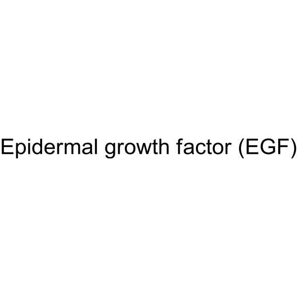 Epidermal growth factor (EGF) 62253-63-8